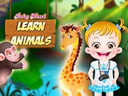 Baby Hazel Learn Animals