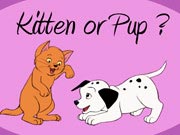 Kitten Or Pup